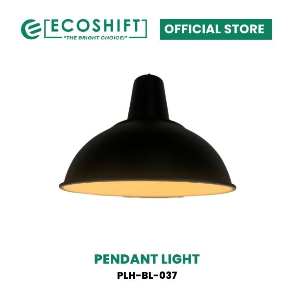 Pendant Light Housing Black Shaded Dome