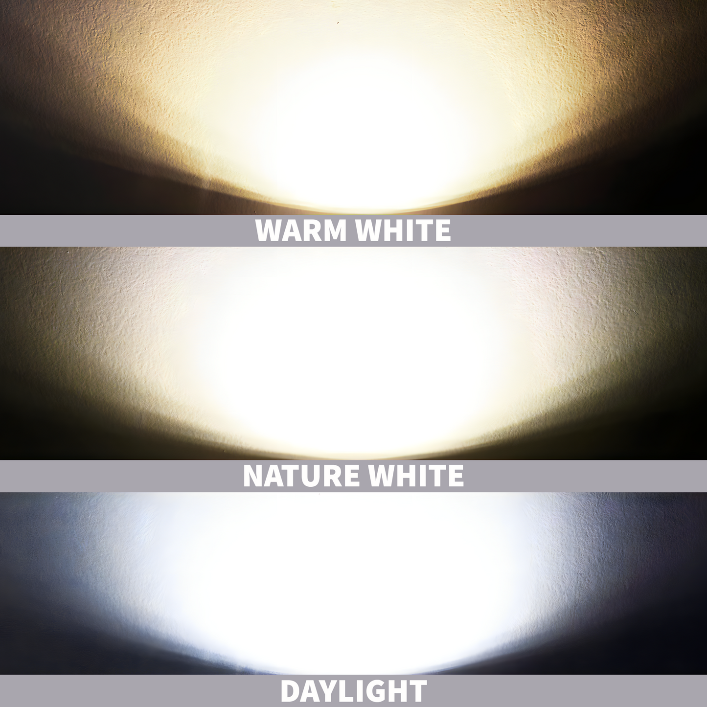 Surface Downlight Frosted Type Black Casing 9W 12W