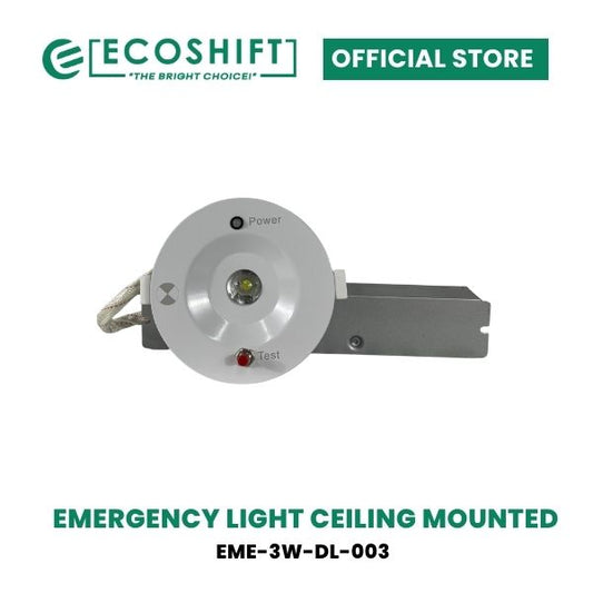 LED Emergency Light Ceiling Mounted 3W Daylight