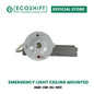 LED Emergency Light Ceiling Mounted 3W Daylight