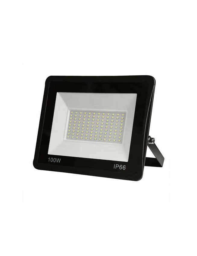 100w 2024 security light