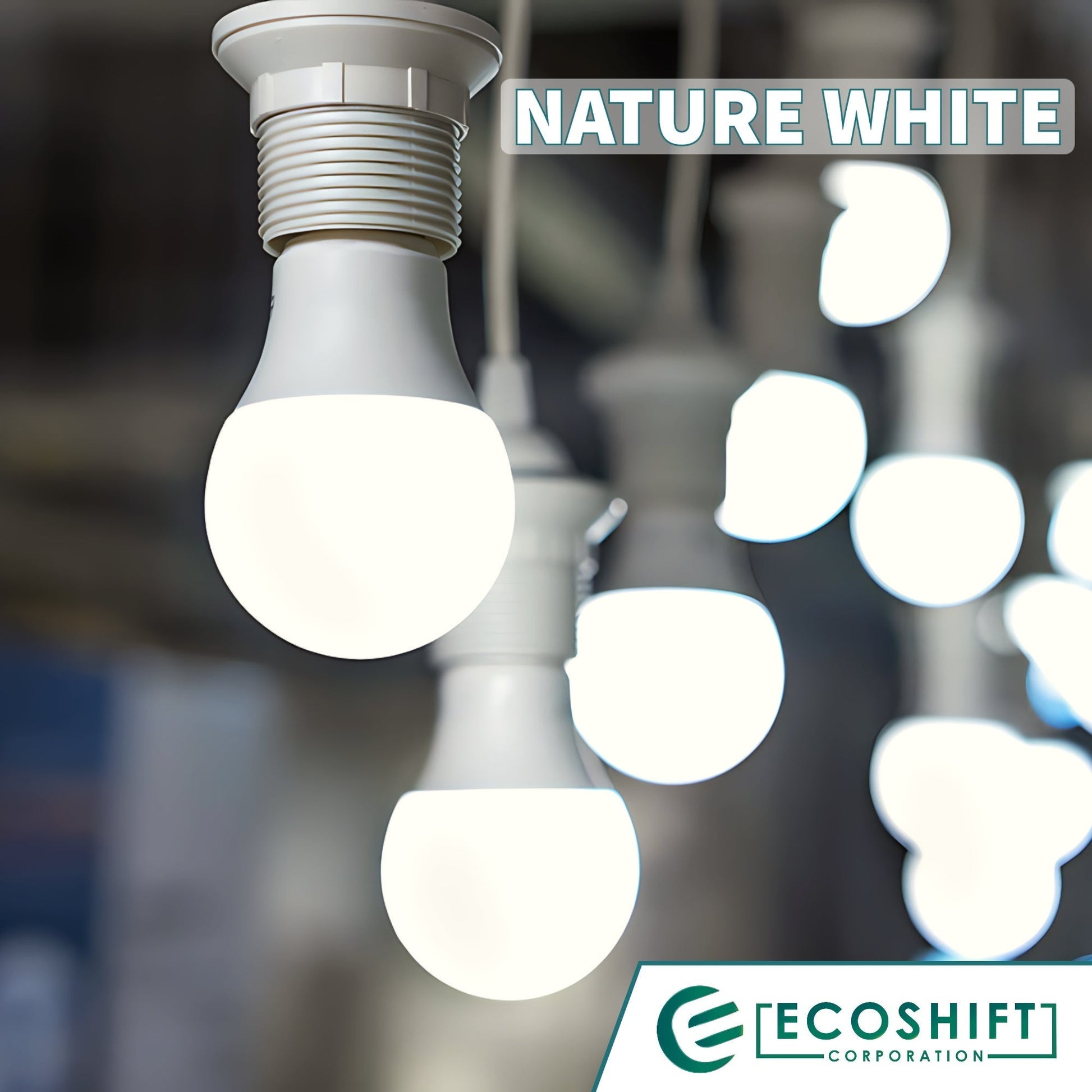 LED Bulb 5W E27 Bulb Holder Ecoshift Shopify