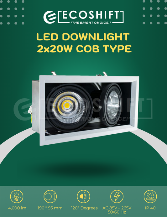 LED Downlight 2x20W COB Type