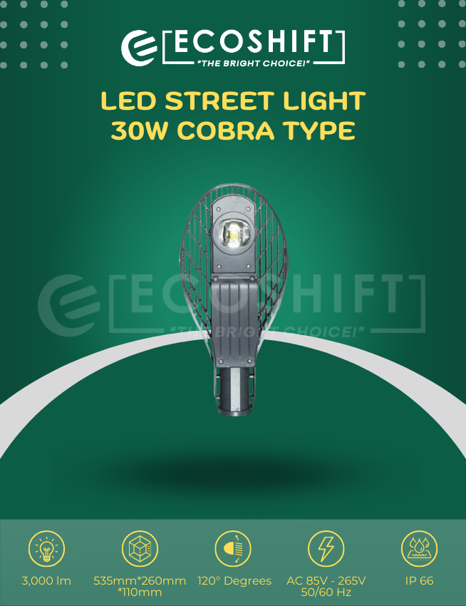 LED Street Light 1 Eye 30W Cobra Type