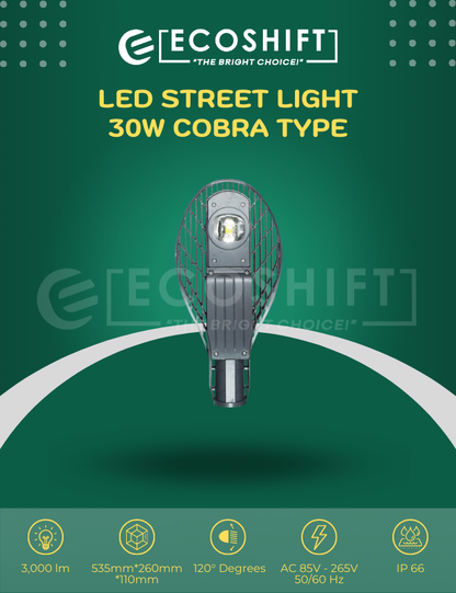 LED Street Light 1 Eye 30W Cobra Type