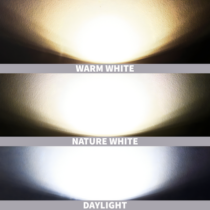 LED Downlight 2x20W COB Type