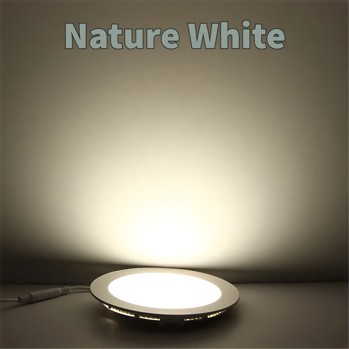 LED Panel Light 6W 12W 18W Round Recessed Type